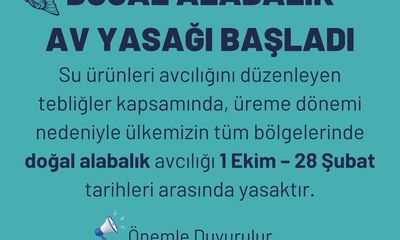 Sivas'ta Doğal Alabalık Av Yasağı Başladı
