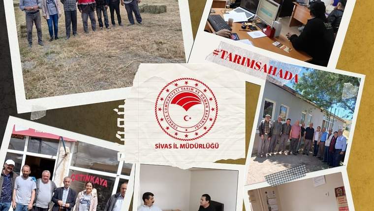 Tarım sahada yazılı kolajda tarlada, ofiste ve bina önünde duran insan grupları yer alıyor.