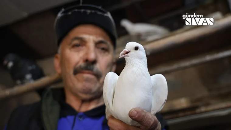 Beyaz bir kumruyu elinde tutan bir kişi, arka planda kuş kafesleri görünmekte.