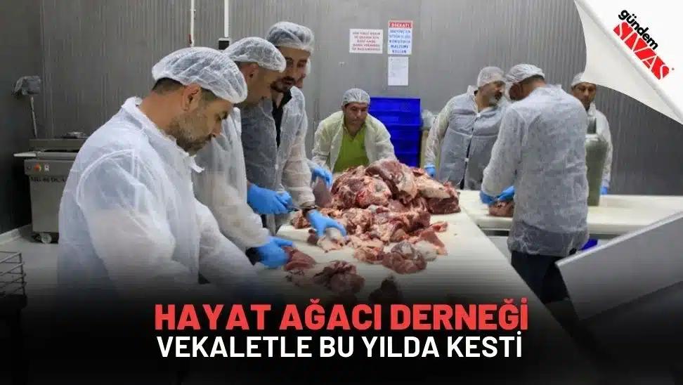Hayat Ağacı Derneği Vekaletle Bu Yılda Kesti