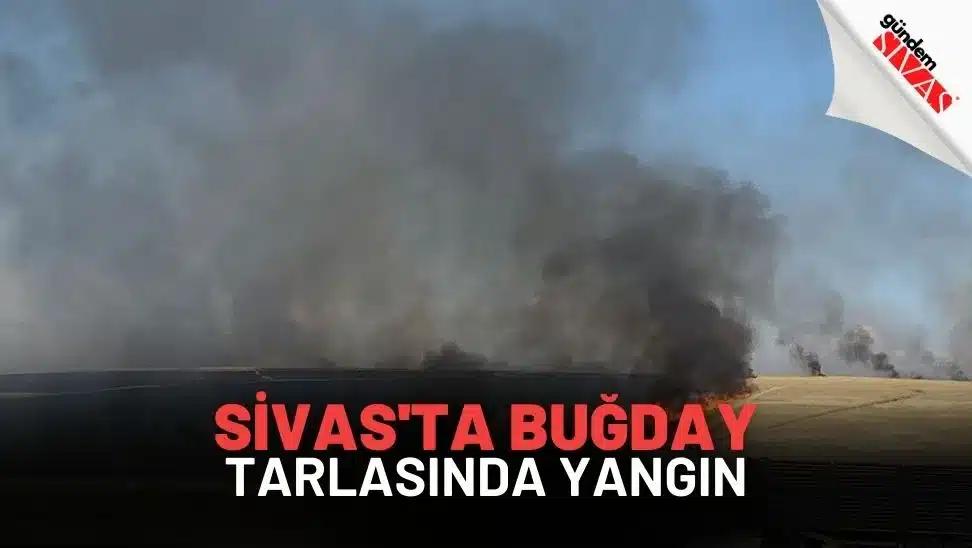 Buğday tarlasında yükselen dumanlar ve alevler görülüyor.