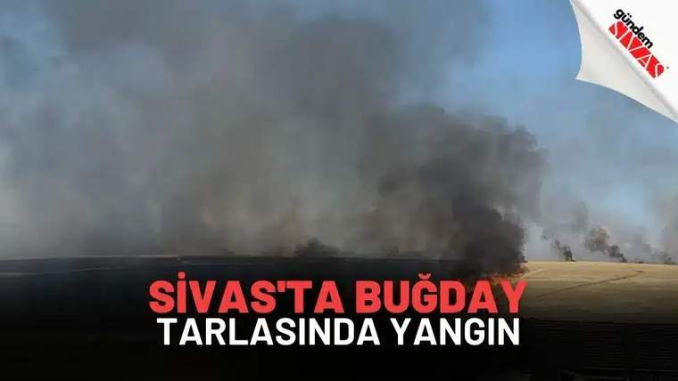 Buğday tarlasında yükselen dumanlar ve alevler görülüyor.