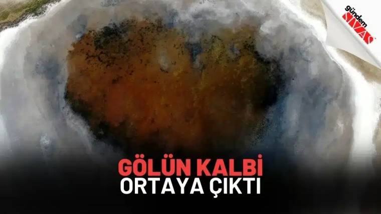 Bir gölün ortasında yer alan koyu renkli bir alan, çevresinde açık renkli su ile çevrili.