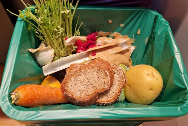 Yeşil bir çöp kutusunda havuç, patates, ekmek dilimleri ve çeşitli sebze artıkları bulunuyor.