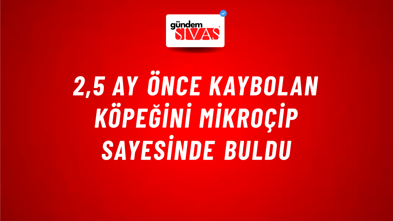 2,5 ay önce kaybolan köpeğini mikroçip sayesinde buldu