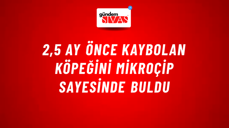 2,5 ay önce kaybolan köpeğini mikroçip sayesinde buldu