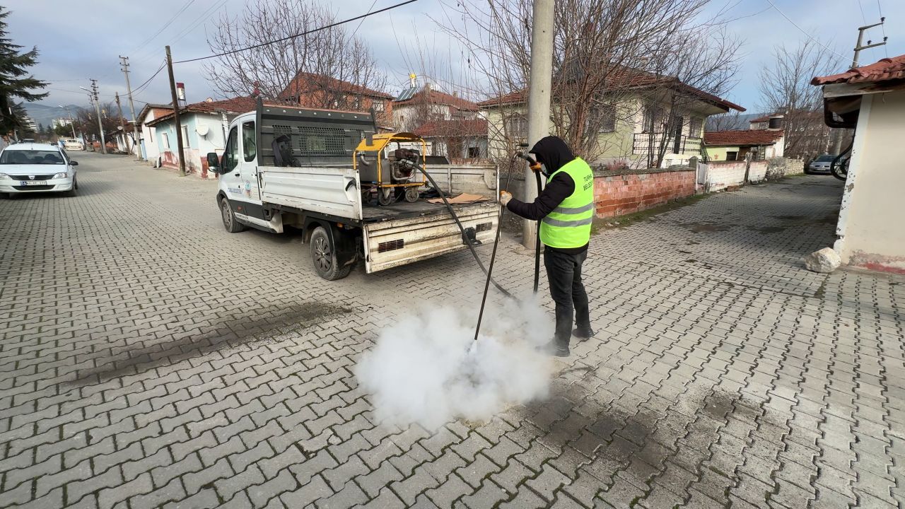 Turhal Belediyesinden haşereyle etkin mücadele - Birlik Haber Ajansı