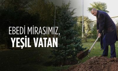 Sivas'ta Her Öğrenci Bir Ağaç Dikiyor: Milli Eğitim'den Yeşil Gelecek Projesi