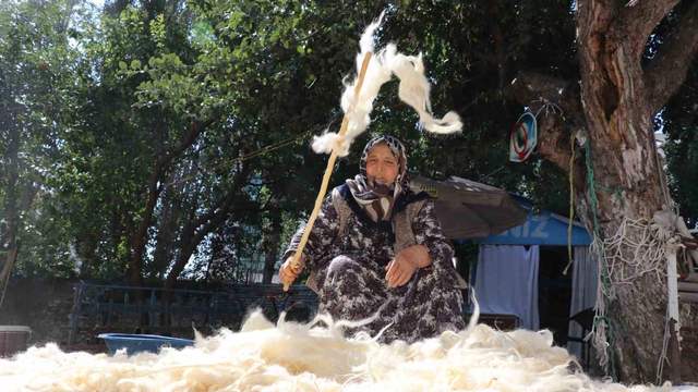 Sivas’ta yün hazırlığı neden yaklaşık bir hafta sürüyor?