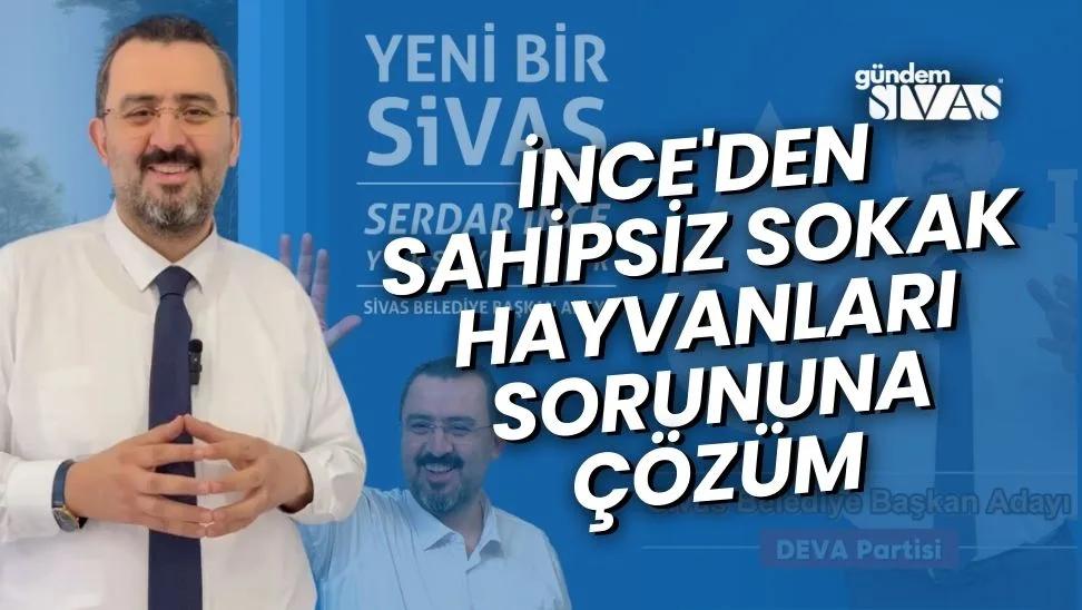 İnce'den Sahipsiz Sokak Hayvanları Sorununa Çözüm