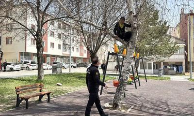 Sivas’ta Ağaca Çıkan Çocuk Mahsur Kaldı: İtfaiye Zamanında Müdahale Etti
