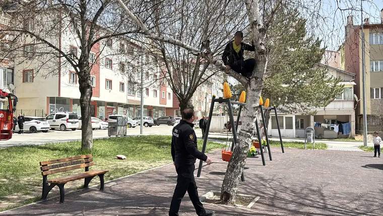 Bir çocuk, bir ağacın üstünde oturmuş, aşağıda bir polis memuru ona bakıyor.