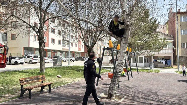 Bir çocuk, bir ağacın üstünde oturmuş, aşağıda bir polis memuru ona bakıyor.
