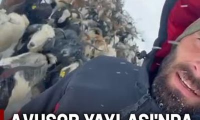 Rize'de Kar Fırtınası: Avusor Yaylası'nda Mahsur Kalan Hayvanlar Kurtarıldı