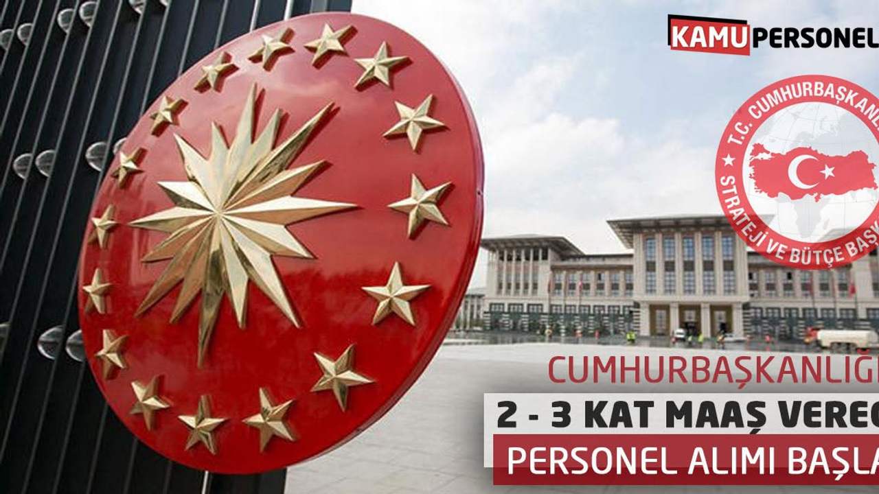 Cumhurbaşkanlığı 7 Personel Alacak! Başvurular Başladı