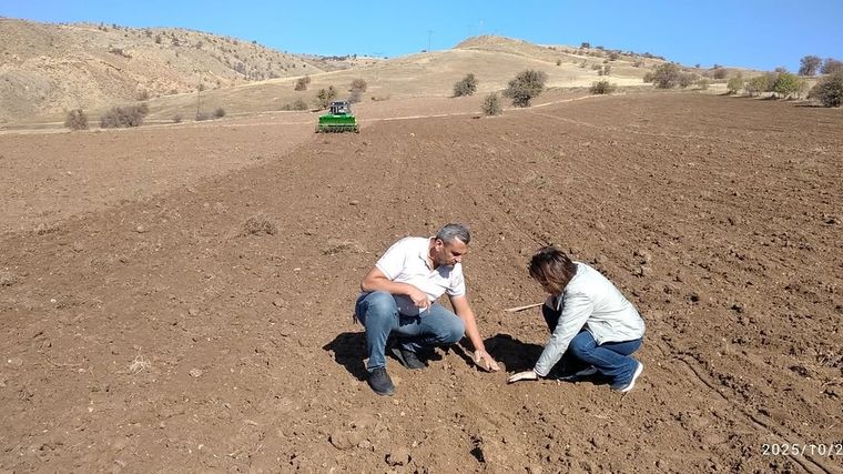 Sivas'ta Verimi Artırmak İçek Buğday ve Arpa Demonstrasyon Çalışmaları Başladı