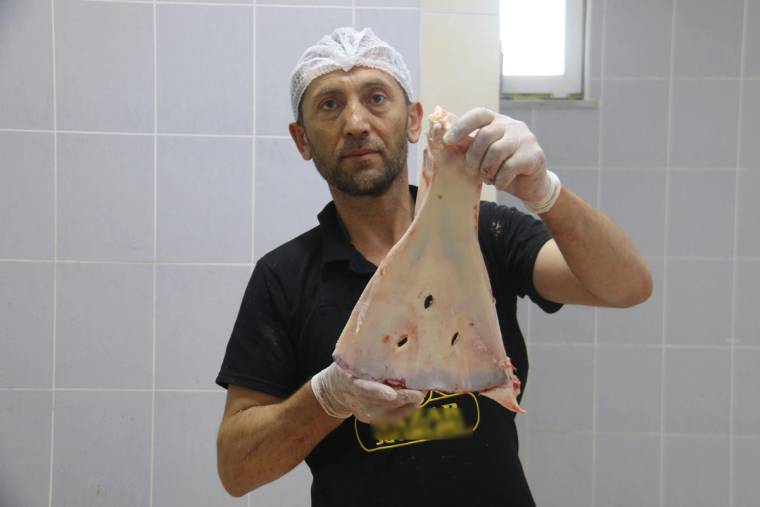 Bone ve eldiven takan bir kişi, gri fayanslı odada delikli, açık renkli üçgen bir parçayı tutuyor.