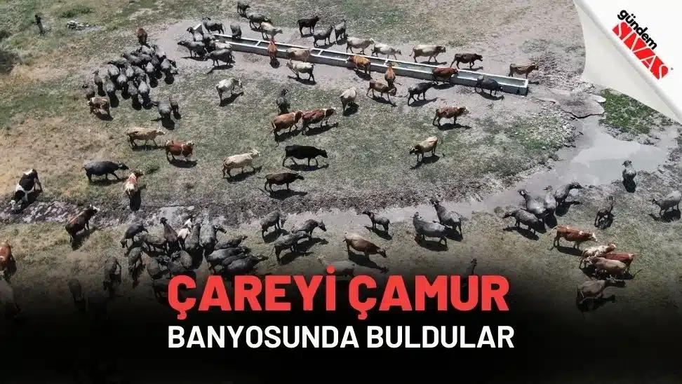 Çareyi Çamur Banyosunda Buldular