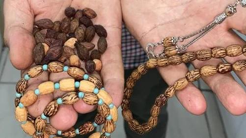 Sivas'ta Zeytin Çekirdekleri Çöpe Gitmiyor!