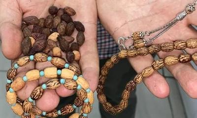 Sivas'ta Zeytin Çekirdekleri Çöpe Gitmiyor!
