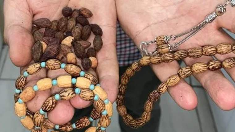 Bir kişinin ellerinde zeytin çekirdekleri ve zeytin çekirdeğinden yapılmış tesbihler bulunuyor.