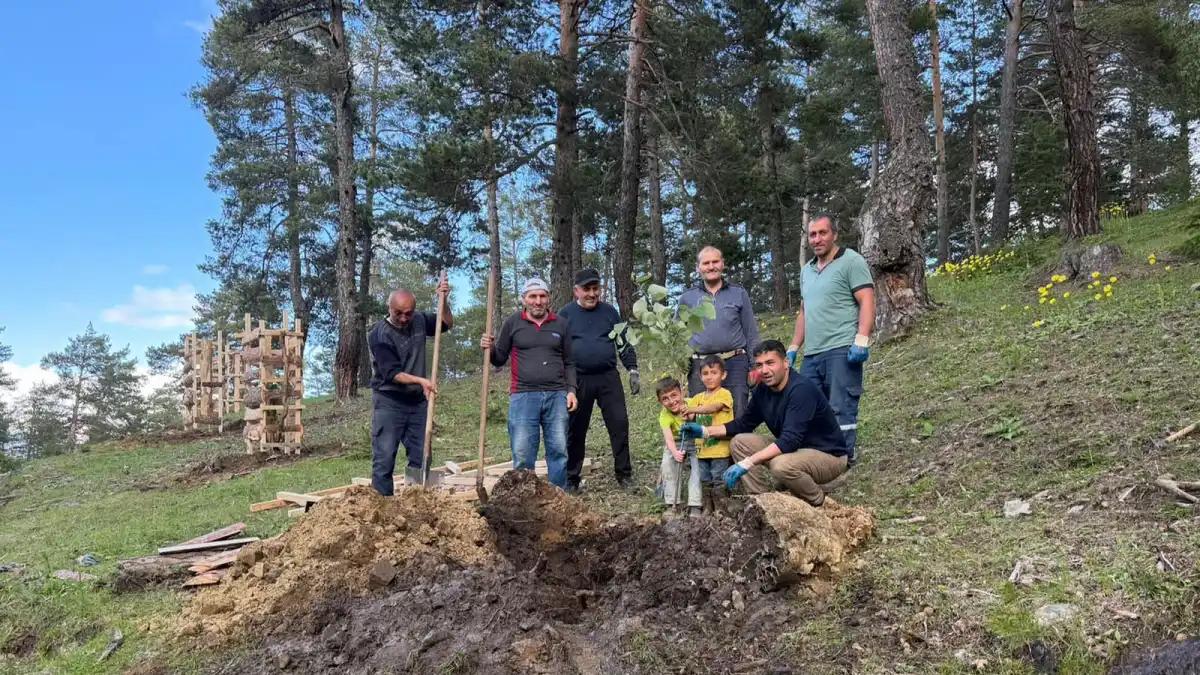 Sivas’ta Köylülerden Geleceğe Yeşil Miras: 600 Ihlamur Fidanı Toprakla Buluştu