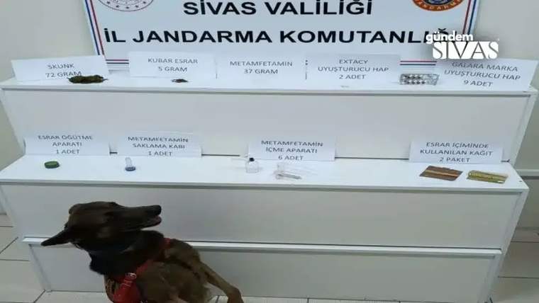 Bir masa üzerinde çeşitli uyuşturucu maddeler ve aparatları sergileniyor, ön planda bir köpek duruyor.