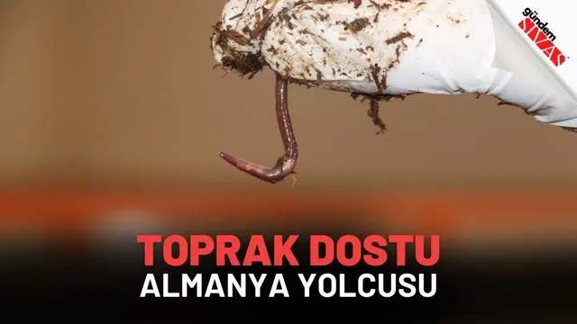 Toprak Dostu Almanya Yolcusu