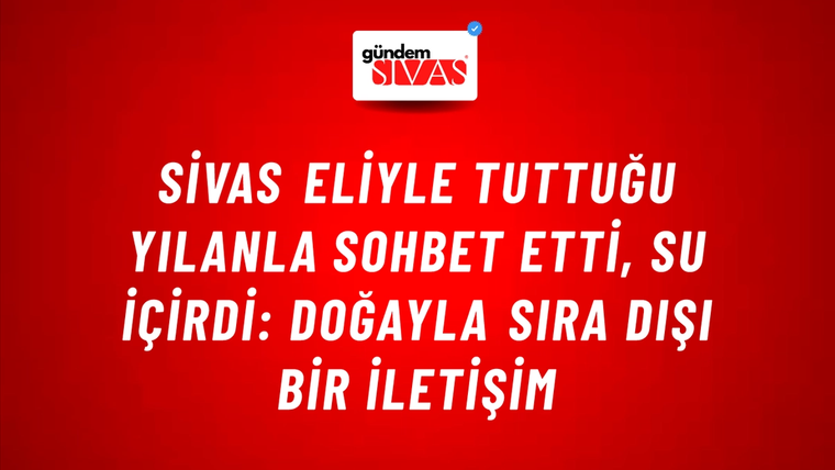 Sivas Eliyle Tuttuğu Yılanla Sohbet Etti, Su İçirdi: Doğayla Sıra Dışı Bir İletişim