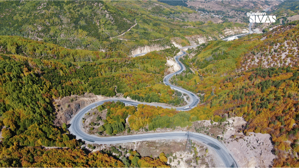Renkli ağaçlarla çevrili, virajlı bir dağ yolu ve çevresindeki yeşil alanlar.
