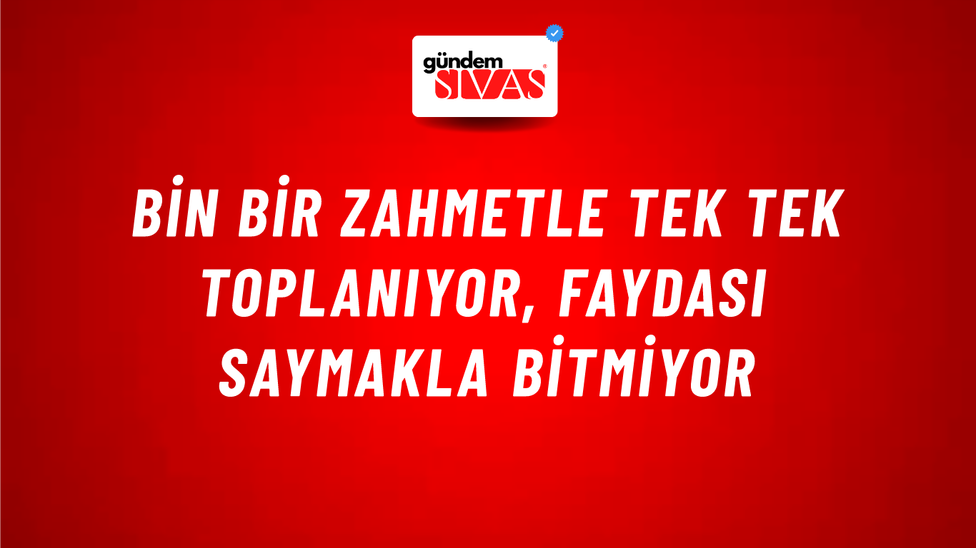 Bin Bir Zahmetle Tek Tek Toplanıyor, Faydası Saymakla Bitmiyor