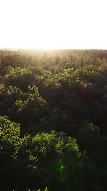 Sivas'ta Geleceğe Nefes Projesiyle Minik Eller Fidanlarla Buluştu