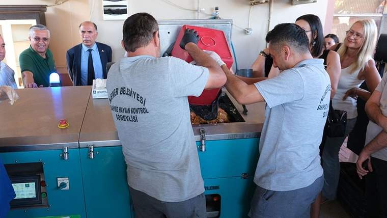 Kemer Belediyesi ‘can dostlara’ mama üretiyor