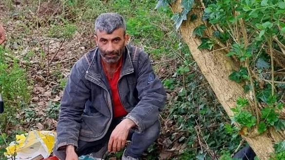 Bir kişi, ağaçların arasında oturarak Kur'an-ı Kerimleri düzenli bir şekilde yerleştiriyor.