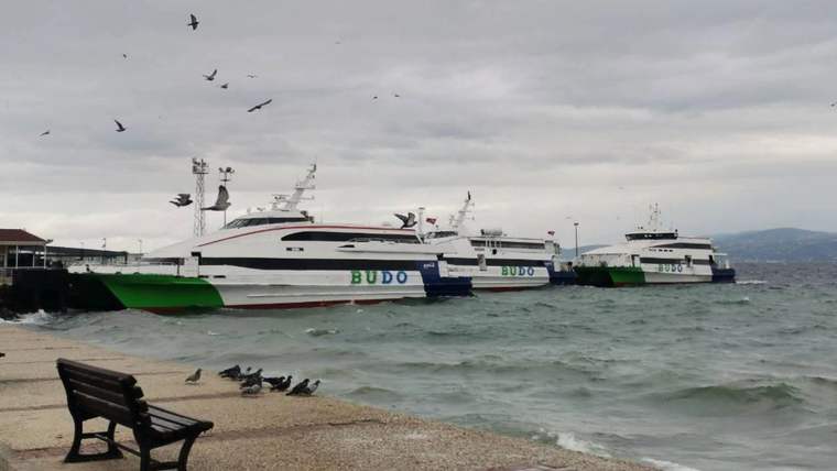 Dalgalı denizde iki BUDO feribotu kıyıda dururken önde bank ve kıyıya konmuş kuşlar görülüyor.