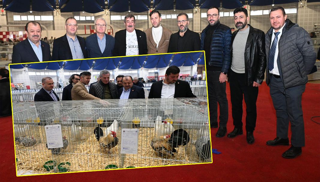 Isparta’da 8. Ulusal Kümes Hayvanları Gösterisi yapıldı - Birlik Haber Ajansı