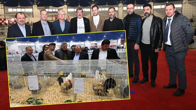 Isparta’da 8. Ulusal Kümes Hayvanları Gösterisi yapıldı - Birlik Haber Ajansı