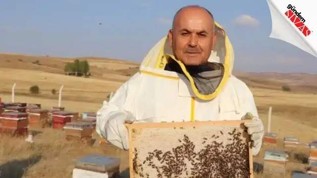 Sivas, Bal Üretiminde Tahtını Koruyor
