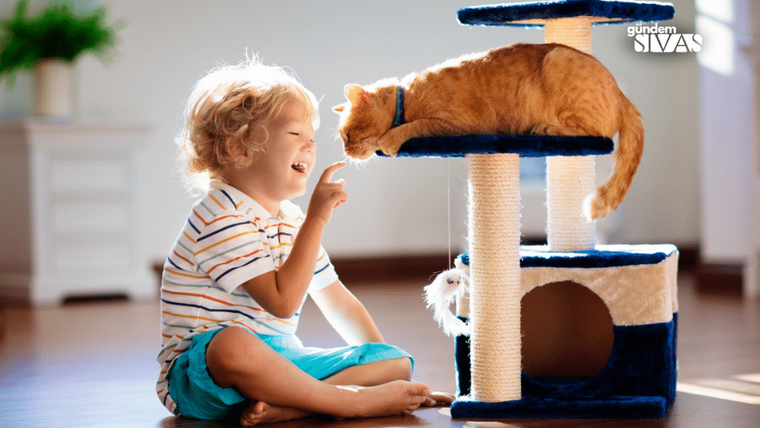 Turuncu bir kedi, tırmanma direğinde uzanırken yanında oturan çocuk ona parmağıyla dokunuyor.