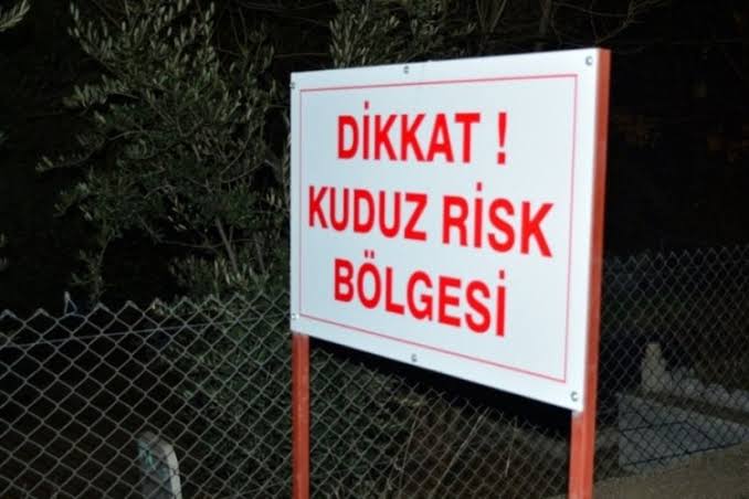 Adıyaman'da kuduz alarmı: Köseceli beldesi karantinada! - Birlik Haber Ajansı