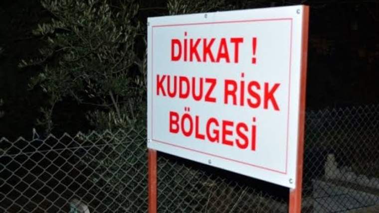 Adıyaman'da kuduz alarmı: Köseceli beldesi karantinada! - Birlik Haber Ajansı