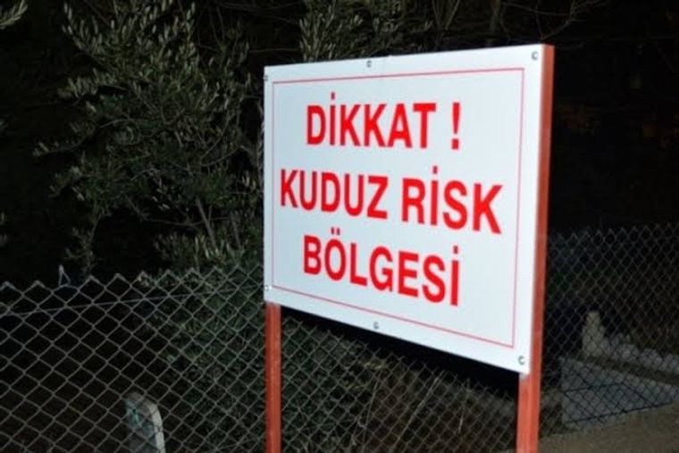 Adıyaman'da kuduz alarmı: Köseceli beldesi karantinada! - Birlik Haber Ajansı