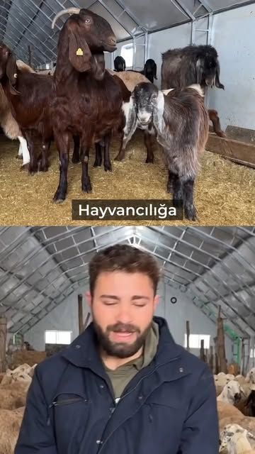 Sivas'ta Genç Girişimci Emre Gültekin, Tarım Destekleriyle İşletme Sahibi Oldu