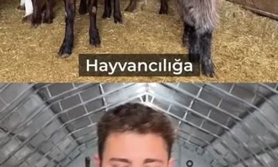 Sivas'ta Genç Girişimci Emre Gültekin, Tarım Destekleriyle İşletme Sahibi Oldu