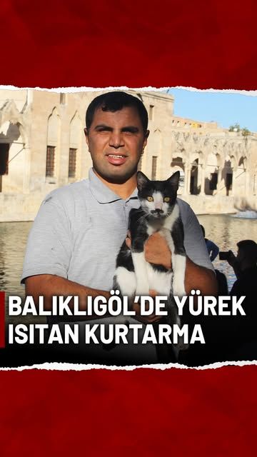 Balıklıgöl'de Boğulmak Üzere Olan Kedi, Kalp Masajı ile Hayata Döndürüldü