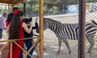 Tarsus Doğa Parkı, bayramda ziyaretçi akınına uğradı - Birlik Haber Ajansı