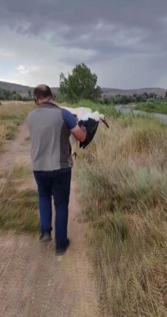 "kendi başına yaşamını sürdürebilmesi" için tedavi edildi