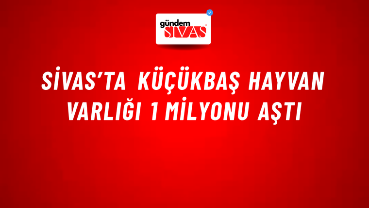 Sivas’ta Küçükbaş Hayvan Varlığı 1 Milyonu Aştı