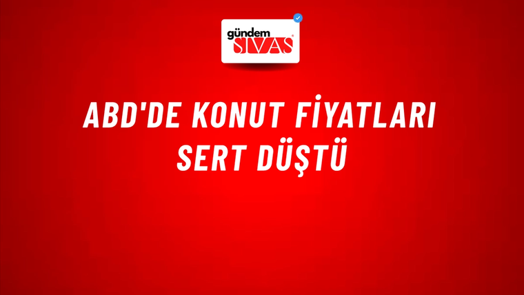 ABD'de konut fiyatları sert düştü