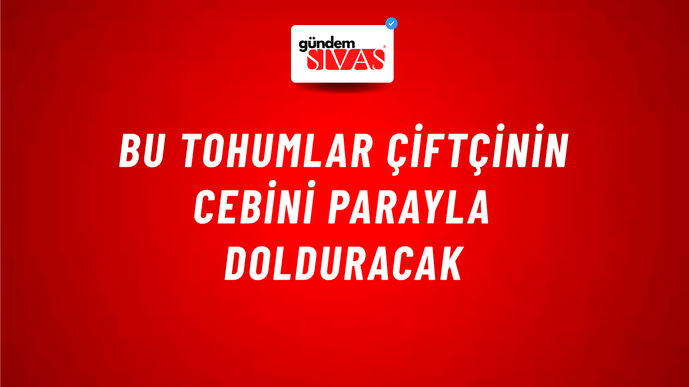 Bu Tohumlar Çiftçinin Cebini Parayla Dolduracak